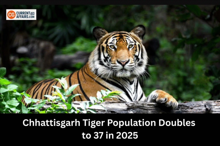 Tiger Population in Chhattisgarh Doubles to 37 in 2025