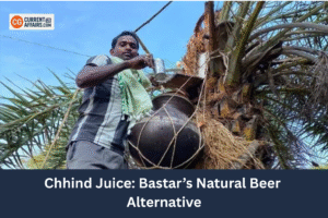 Chhind Juice: Bastar’s Natural Beer Alternative